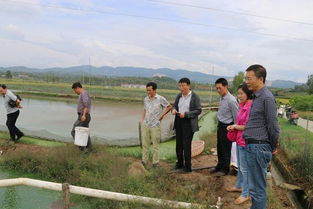 陜西省加強(qiáng)水產(chǎn)投入品監(jiān)管 現(xiàn)場抽查工作助力畜牧漁業(yè)飼料安全銷售