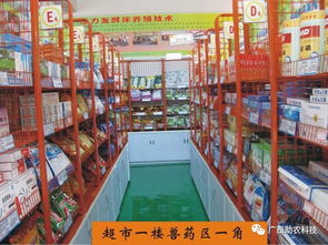 發(fā)酵床生態(tài)養(yǎng)牛全鏈條技術(shù)賦能 廣西助農(nóng)公司一站式解決方案