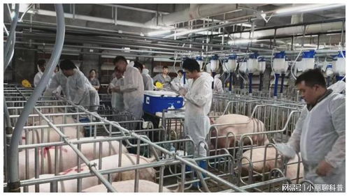 273.32億元，增長(zhǎng)5.4% 畜牧漁業(yè)飼料銷售穩(wěn)健增長(zhǎng)的動(dòng)力與展望